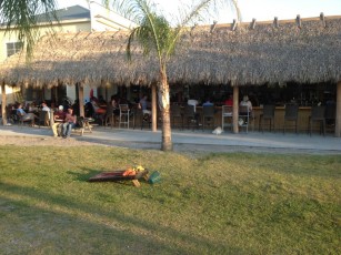 Tiki Bar